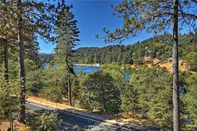 24531 San Moritz Dr, Crestline, CA 92325 - photo 5