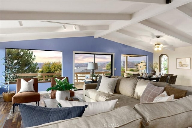 living room featuring hardwood / wood-style floors, lofted ceiling with beams, ceiling fan, and a healthy amount of sunlight