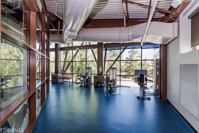 workout area featuring a high ceiling and floor to ceiling windows