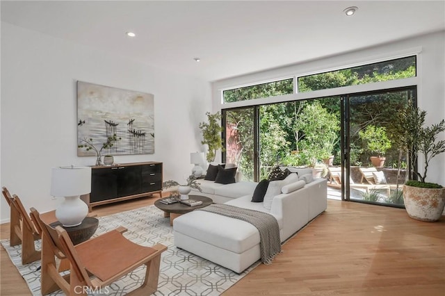 living room featuring light wood-type flooring