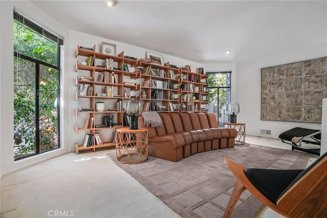 sitting room with carpet floors