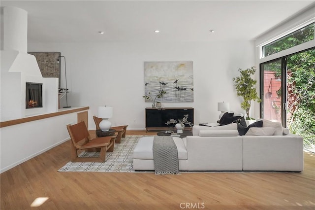 living room with a fireplace and light hardwood / wood-style floors