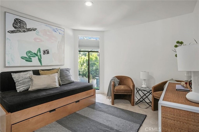 sitting room with carpet