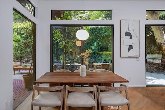 dining room featuring light wood-style flooring