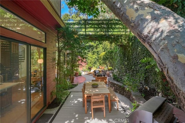 view of patio / terrace with outdoor dining space and grilling area