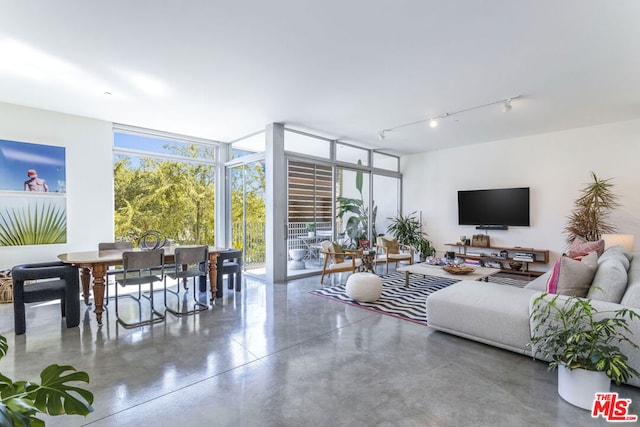 living room featuring a wall of windows