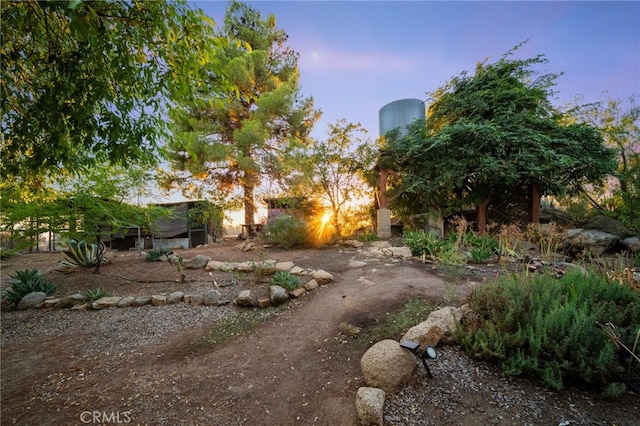 view of yard at dusk