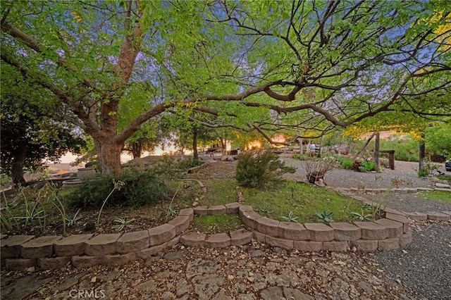 view of yard at dusk