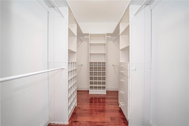 walk in closet with dark hardwood / wood-style flooring