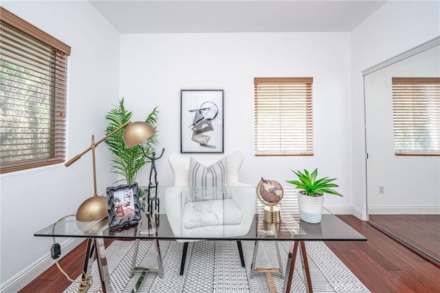 interior space featuring hardwood / wood-style flooring and plenty of natural light