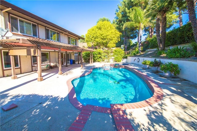 view of pool featuring a patio area