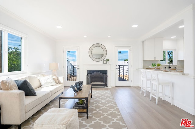 living room with light hardwood / wood-style flooring, crown molding, and sink