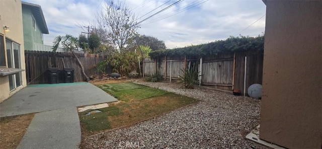 view of yard featuring a patio