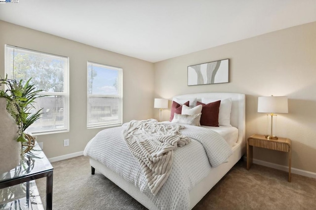 bedroom featuring carpet and multiple windows