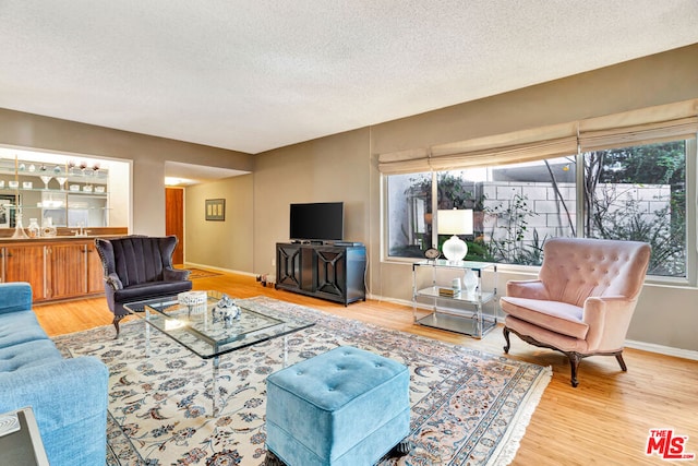 living room featuring hardwood / wood-style floors and a textured ceiling