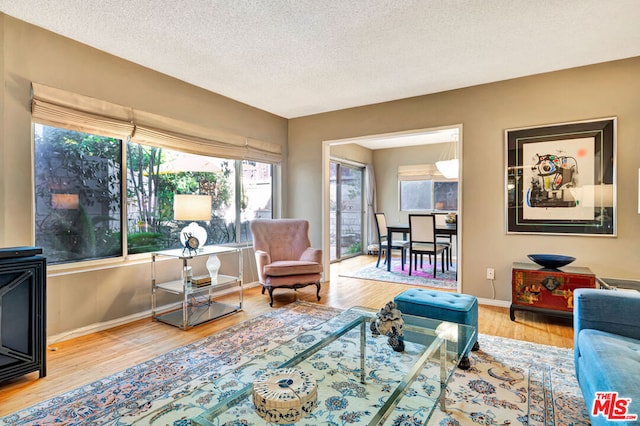 living room with a textured ceiling and light hardwood / wood-style flooring