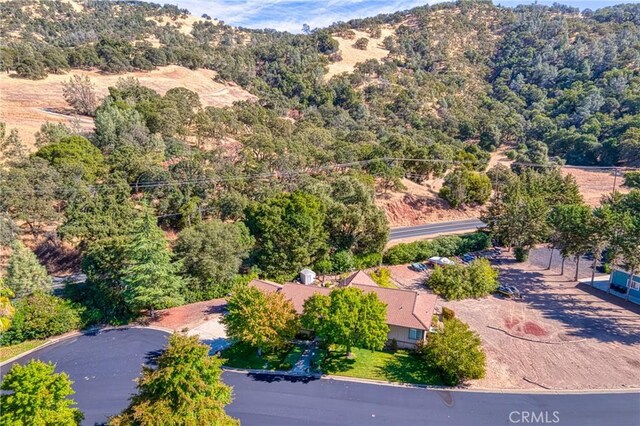 8656 Paradise Valley Blvd, Lucerne, CA 95458 - photo 30