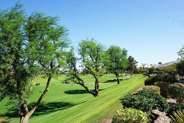 view of property's community with a lawn