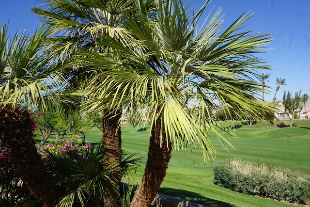 view of property's community with a lawn