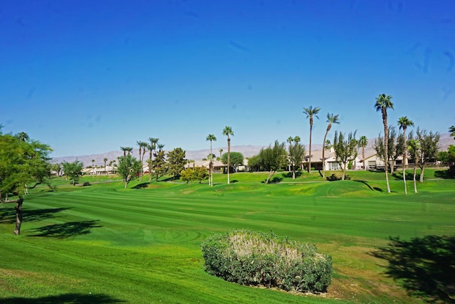 surrounding community featuring a lawn