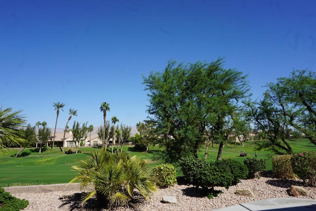 view of community with a lawn