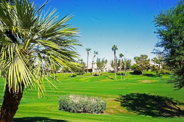 view of property's community with a lawn