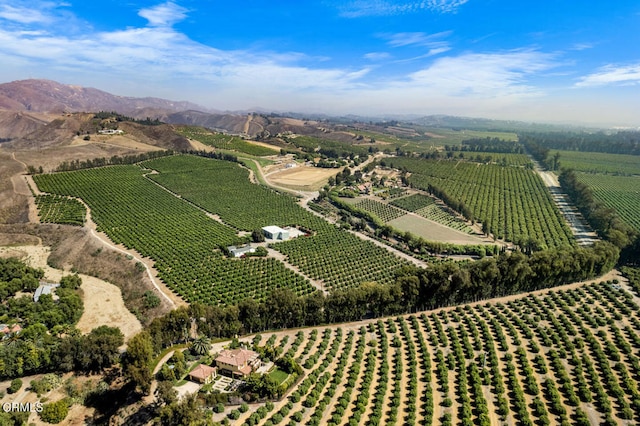 birds eye view of property with a mountain view and a rural view