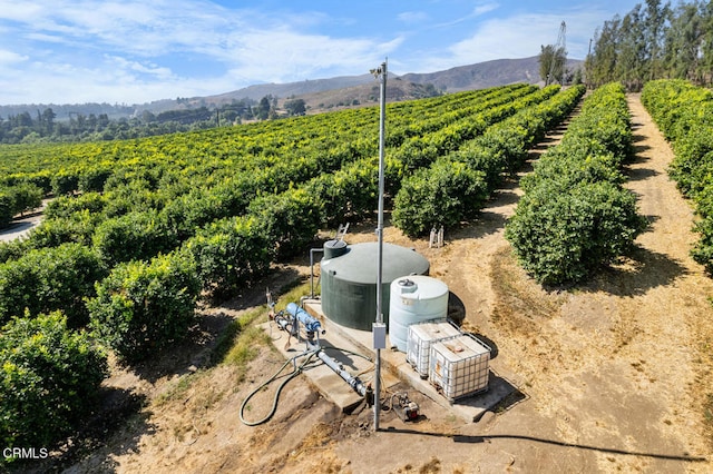 birds eye view of property featuring a mountain view and a rural view