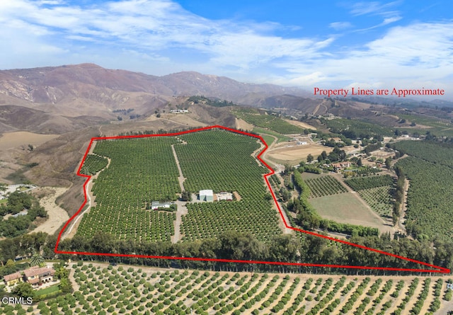 birds eye view of property with a rural view and a mountain view