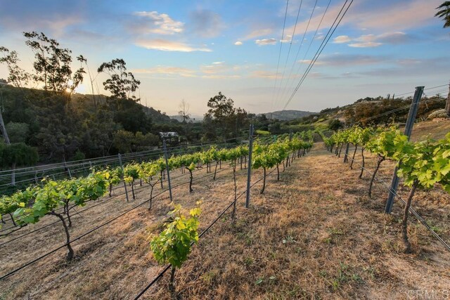 12622 Sierra Rojo, Valley Center, CA 92082 - yard at dusk with a rural view and agricultural plots
