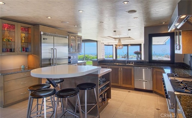 kitchen featuring premium appliances, extractor fan, a kitchen island, a breakfast bar, and sink