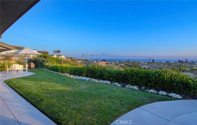 view of yard with a patio