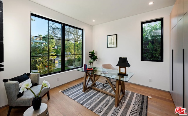 office area featuring light hardwood / wood-style flooring and a healthy amount of sunlight