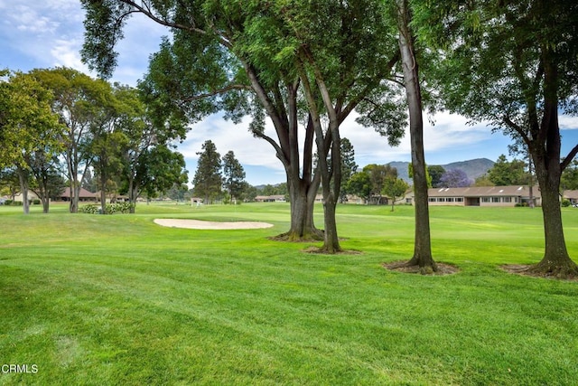 view of community with a lawn and a mountain view