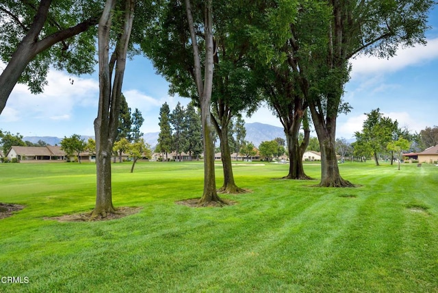 view of yard featuring a mountain view