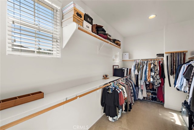 view of walk in closet