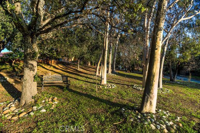 682 Deodar Ln, Bradbury, CA 91008 - photo 29