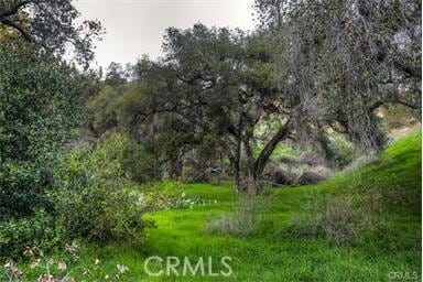 682 Deodar Ln, Bradbury, CA 91008 - photo 32