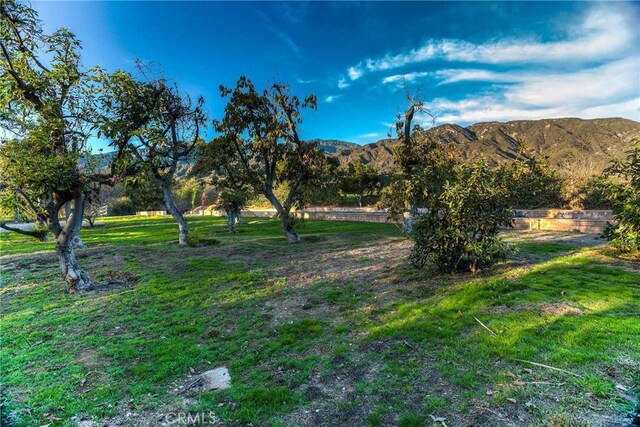 682 Deodar Ln, Bradbury, CA 91008 - photo 27
