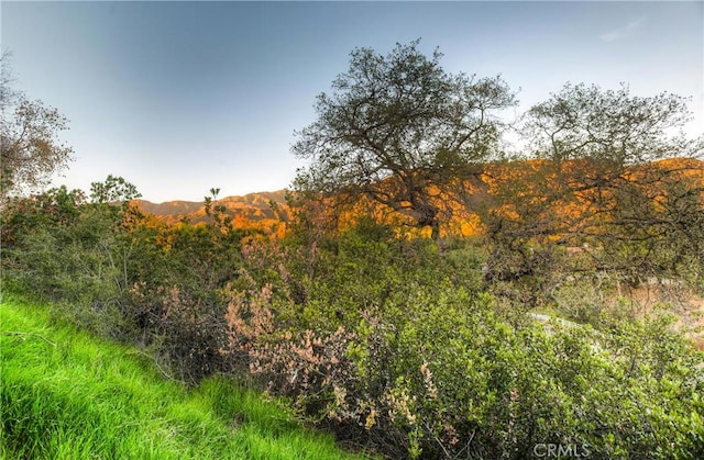 view of landscape