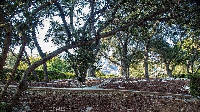 682 Deodar Ln, Bradbury, CA 91008 - photo 33