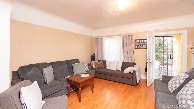 living room with hardwood / wood-style flooring