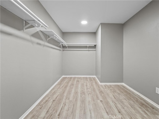 spacious closet with light wood-type flooring