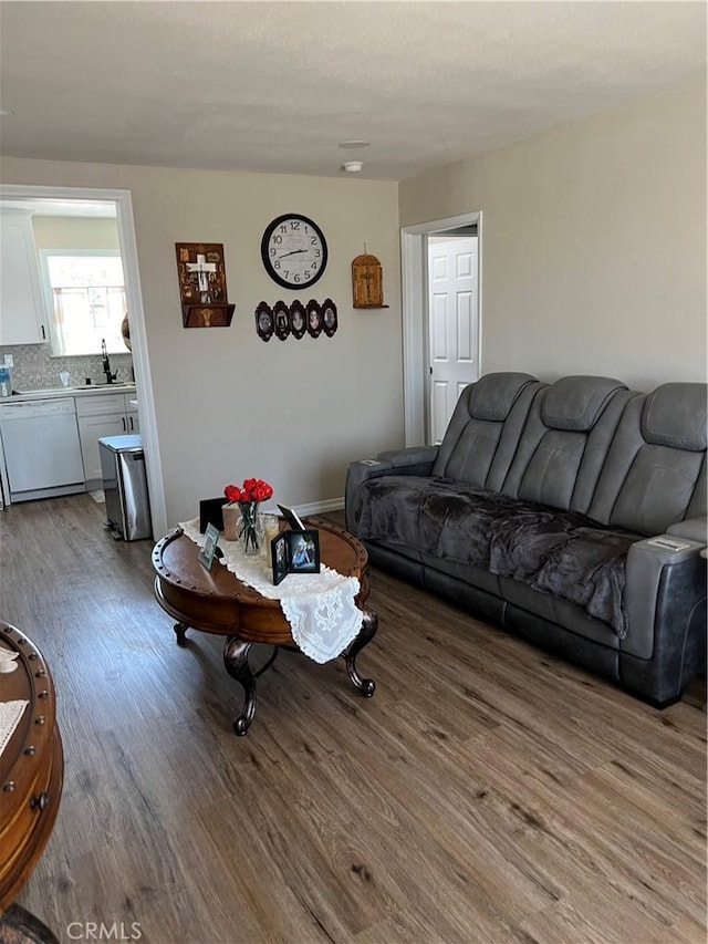 living room with sink and hardwood / wood-style floors