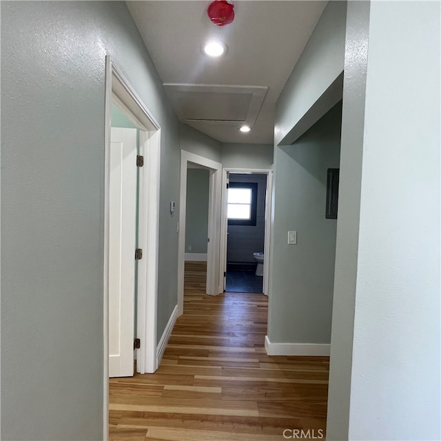 hallway featuring light wood-type flooring