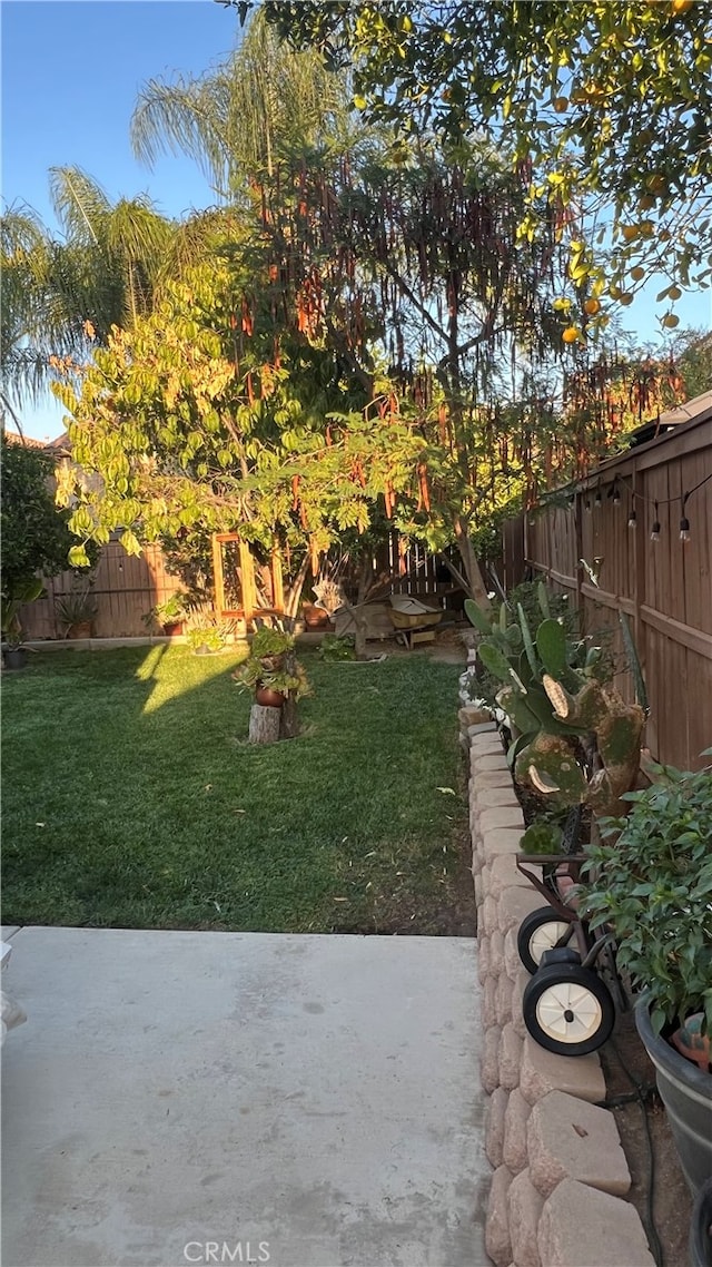 view of yard with a patio