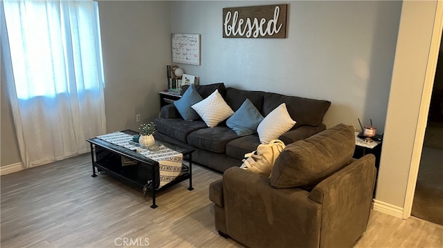 living room with hardwood / wood-style flooring