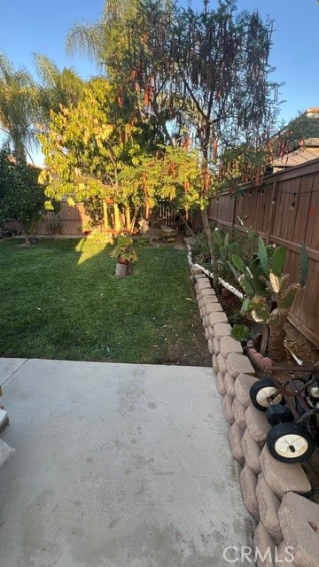 view of yard featuring a patio