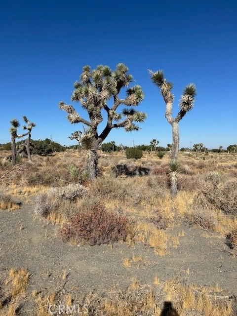 0 Beekley Rd, Pinon Hills CA, 92372 land for sale