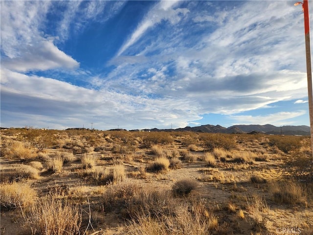 52000 Ocotillo Rd, Johnson Valley CA, 92285 land for sale